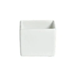 Bugambilia COMP01WW White Resin Coated 5" Square Straight-Sided Bowl