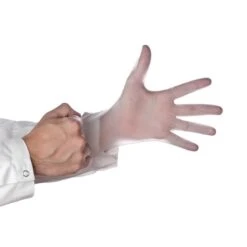 Darling Food Service Small Powder Free Vinyl Gloves - 1000 / CS