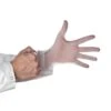 Darling Food Service Medium Powder Free Vinyl Gloves - 1000 / CS