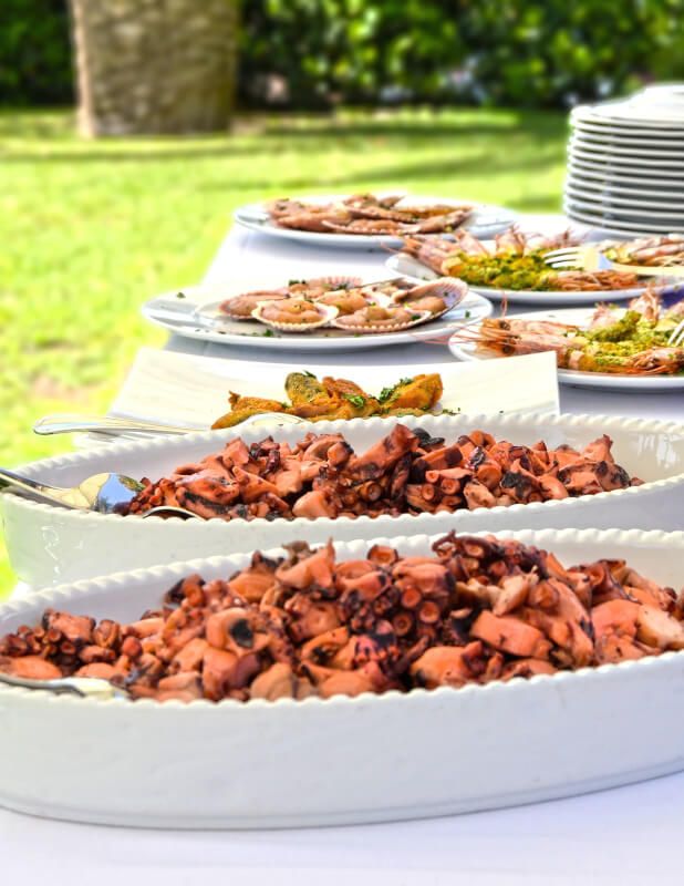 Catering Supplies Shop -Catering Supplies Shop Buffet table